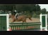02042012 99 J Ehrhart Tigris