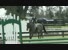 02042012 137 S Smith Tuchard